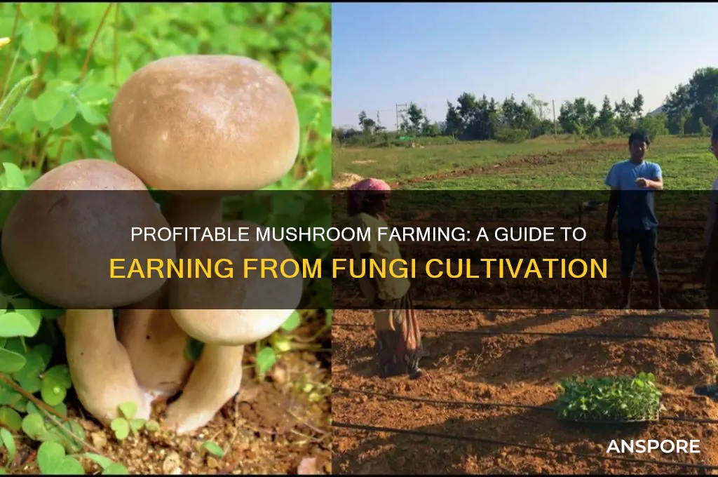 can i make money farming mushrooms