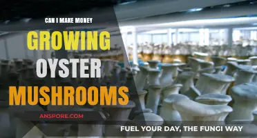Profitable Oyster Mushroom Farming: A Beginner's Guide to Earning Income