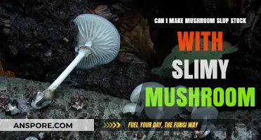 Slimy Mushrooms for Slurp-Worthy Stock? A Fungal Food Adventure