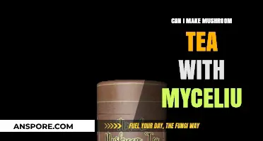 Brewing Mushroom Tea: Exploring Mycelium's Potential for a Unique Infusion