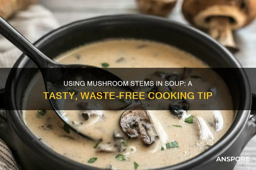 can i make soup with mushroom stems