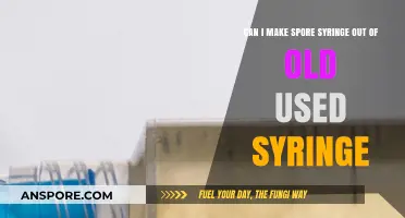 Reusing Old Syringes for Spore Syringe Creation: Safe or Risky?