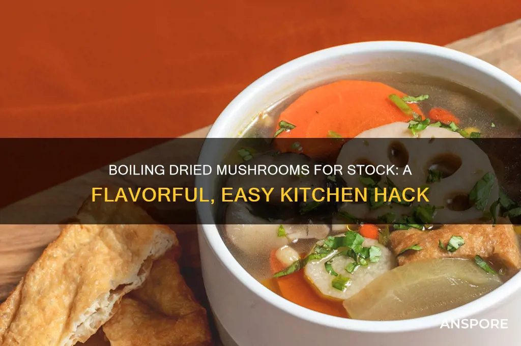 can i make stock by boiling dried mushrooms