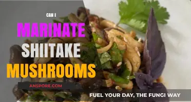 Marinating Shiitake Mushrooms: Tips, Benefits, and Flavorful Recipes
