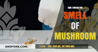 Effective Ways to Mask the Strong Smell of Mushrooms in Cooking