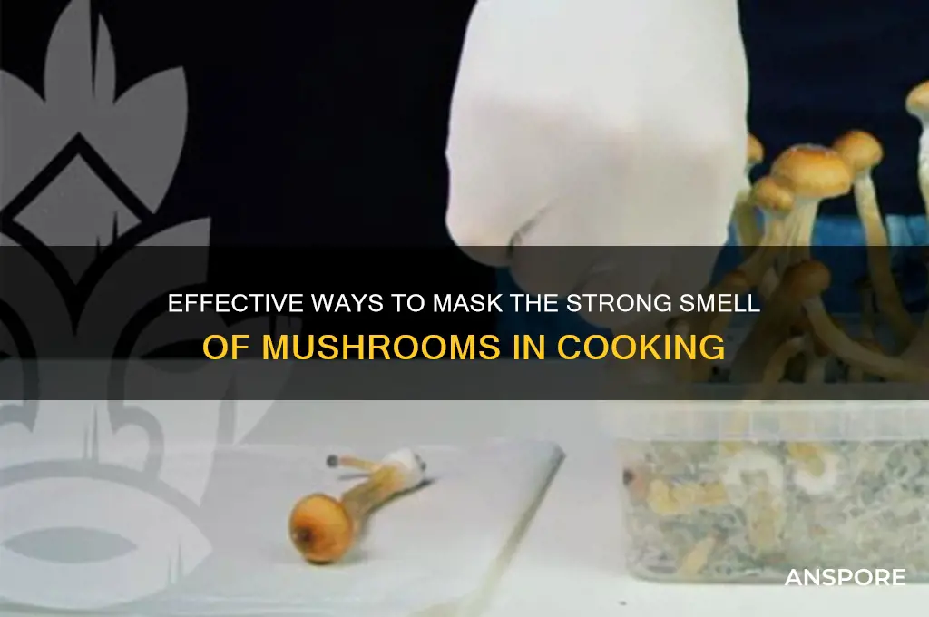 can i mask the smell of mushrooms