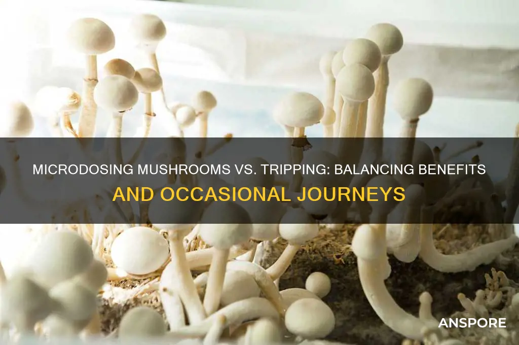 can i microdose mushroom and occasionly go on a trip