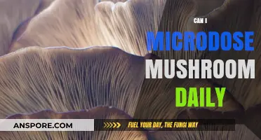Daily Microdosing Mushrooms: Benefits, Risks, and What You Need to Know