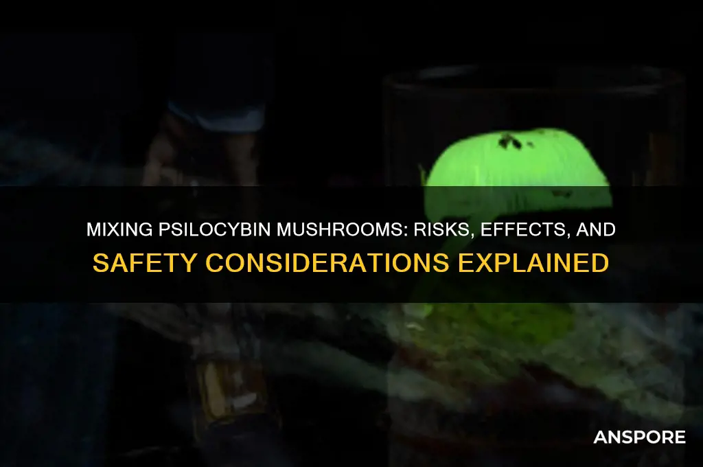 can i mix 2 different psilocibin mushrooms