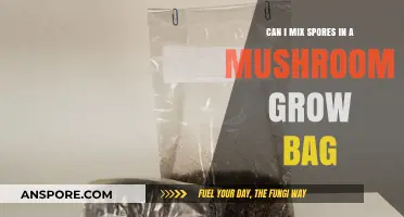 Mixing Spores in Mushroom Grow Bags: Tips and Best Practices