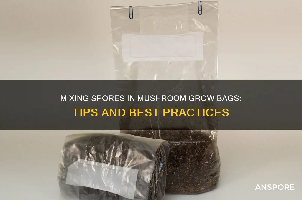 can i mix spores in a mushroom grow bag