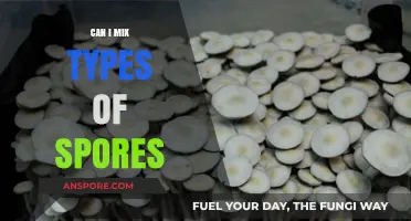 Mixing Mushroom Spores: Risks, Benefits, and Best Practices Explained