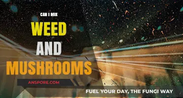 Mixing Weed and Mushrooms: Risks, Effects, and Safety Tips
