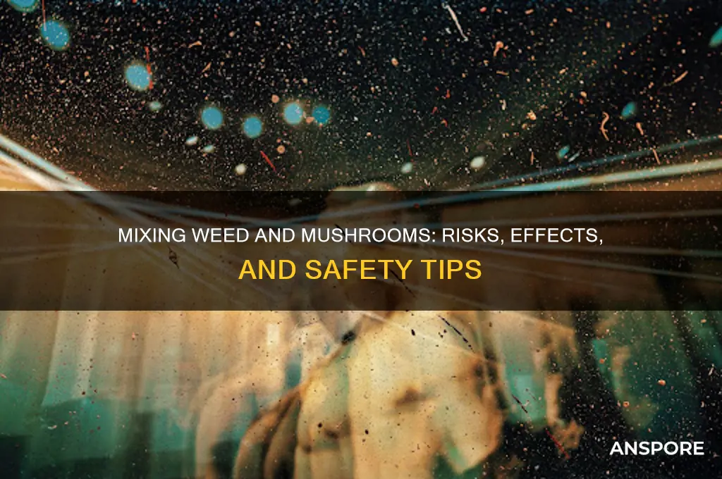 can i mix weed and mushrooms