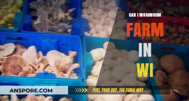 Mushroom Farming in Wisconsin: Opportunities, Challenges, and Getting Started