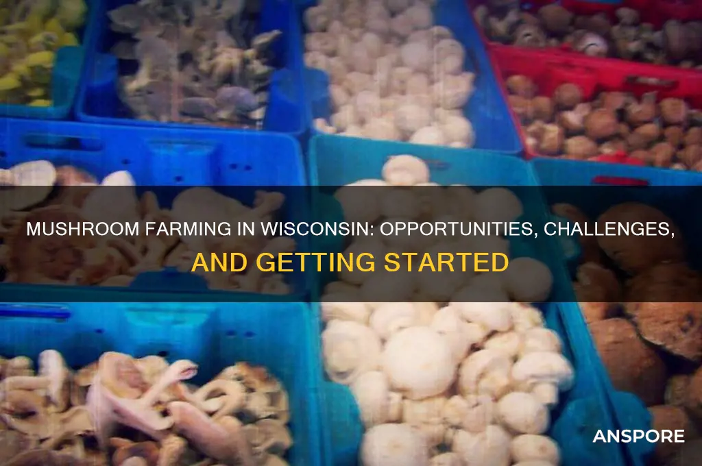can i mushroom farm in wi
