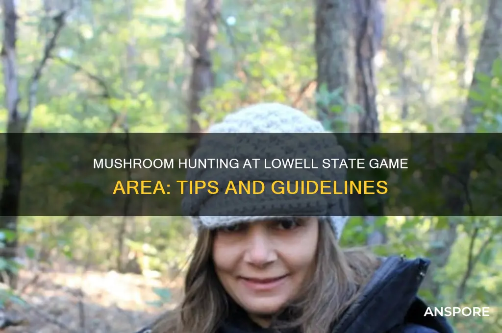 can i mushroom hunt at lowell state game area