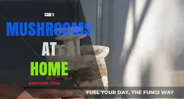 Growing Mushrooms at Home: A Beginner's Guide to Cultivation