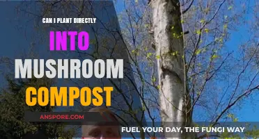 Planting in Mushroom Compost: Benefits, Tips, and Best Practices