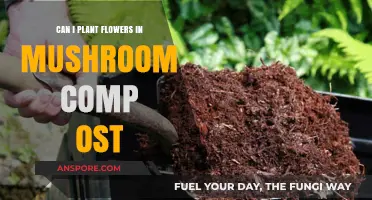 Planting Flowers in Mushroom Compost: Benefits, Tips, and Best Practices