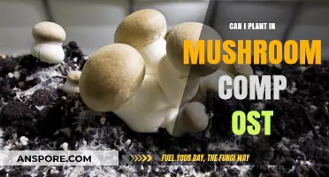 Planting in Mushroom Compost: Benefits, Tips, and Best Practices