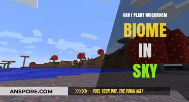 Skybound Mushroom Biomes: Can You Cultivate Fungi in the Clouds?