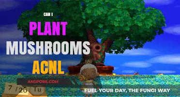 Planting Mushrooms in ACNL: Tips and Tricks for Success