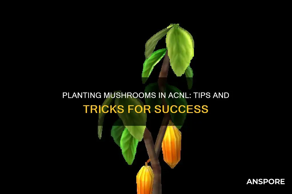 can i plant mushrooms acnl