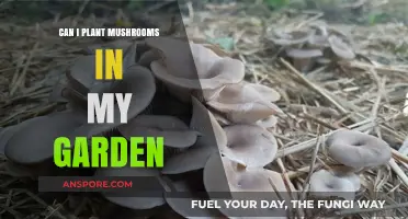 Growing Mushrooms in Your Garden: Tips and Tricks for Success