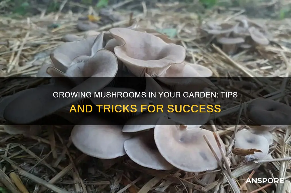 can i plant mushrooms in my garden