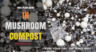 Planting Seeds in Mushroom Compost: Benefits, Tips, and Best Practices