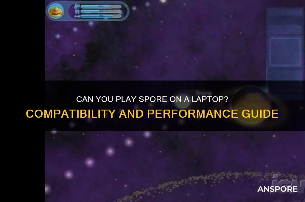 can i play spore on a laptop