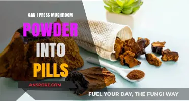 Pressing Mushroom Powder into Pills: A DIY Guide and Safety Tips