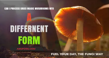 Transforming Dried Magic Mushrooms: Creative Processing Methods and Forms
