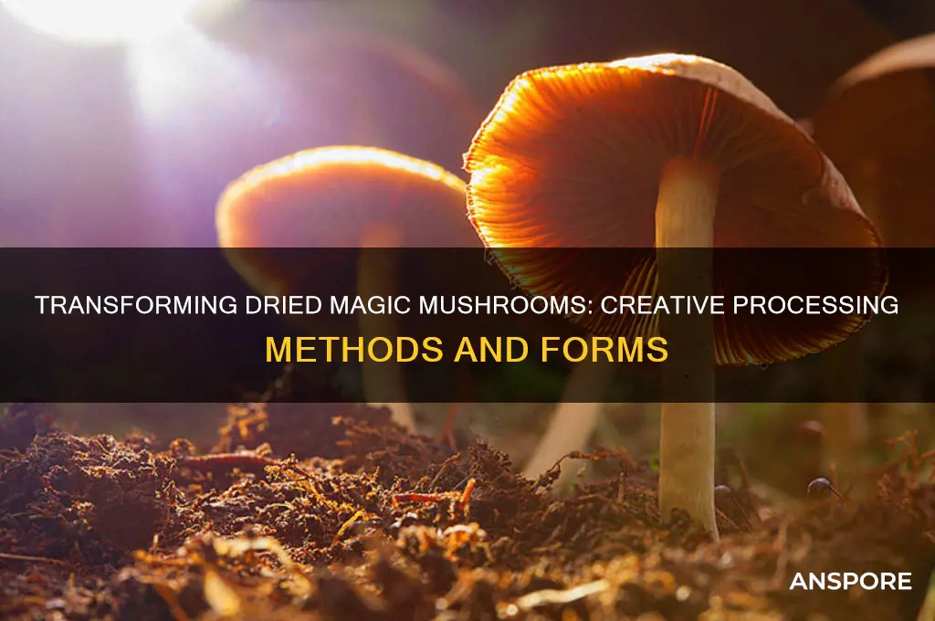 can i process dried magic mushrooms into a differnent form