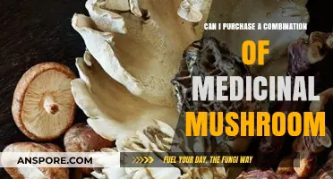 Exploring Medicinal Mushrooms: Combining Varieties for Optimal Health Benefits