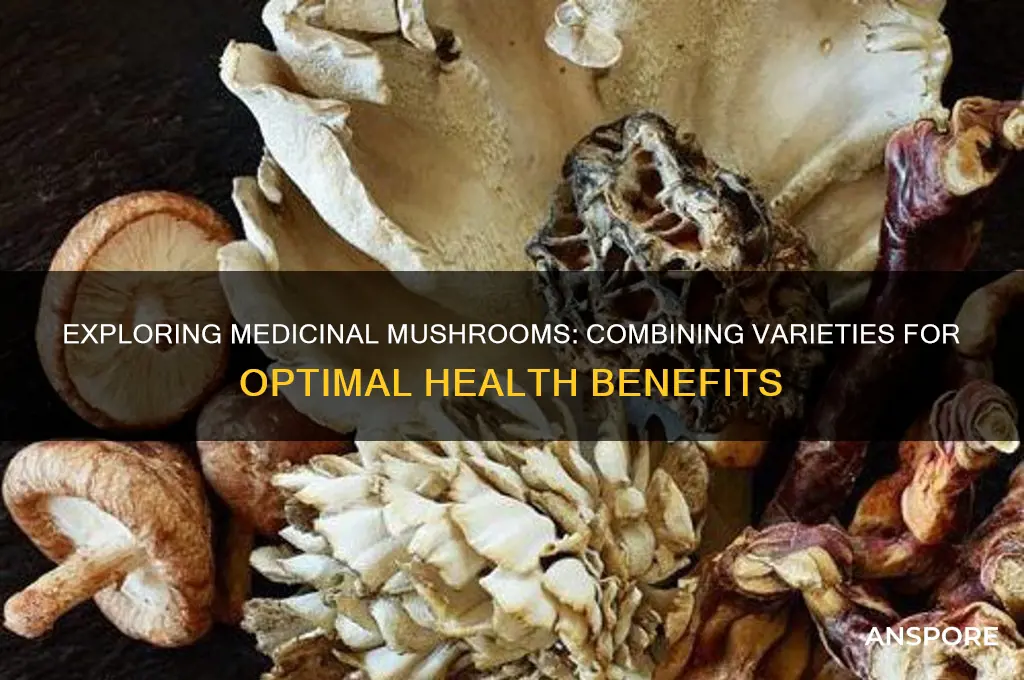 can i purchase a combination of medicinal mushrooms