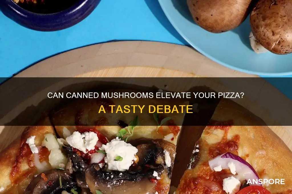 can i put canned mushrooms on pizza