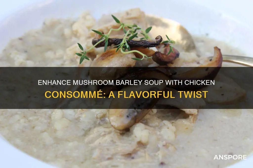 can i put checken consome in mushroom barley soup