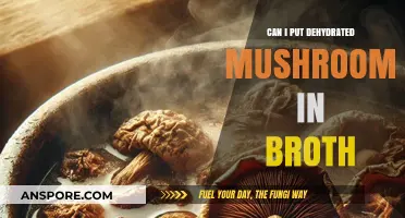 Enhancing Broth with Dehydrated Mushrooms: Tips and Benefits