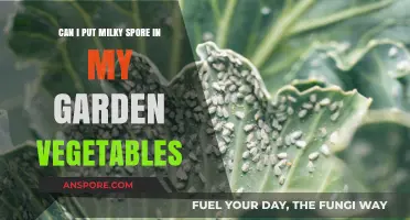 Using Milky Spore Safely in Vegetable Gardens: Benefits and Precautions