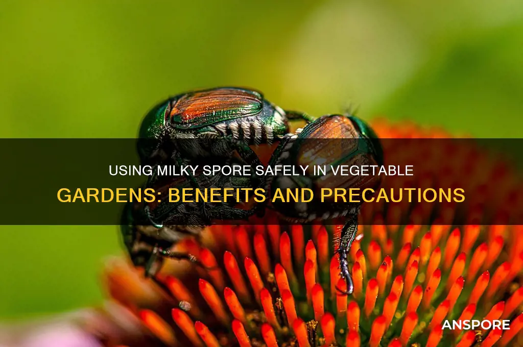 can i put milky spore in my garden vegetables