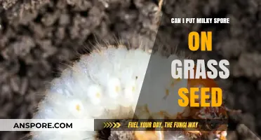 Milky Spore and Grass Seed: Can They Be Applied Together?