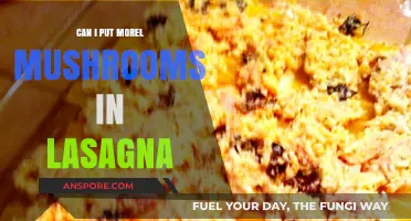 Morel Mushrooms in Lasagna: A Gourmet Twist to Classic Comfort Food