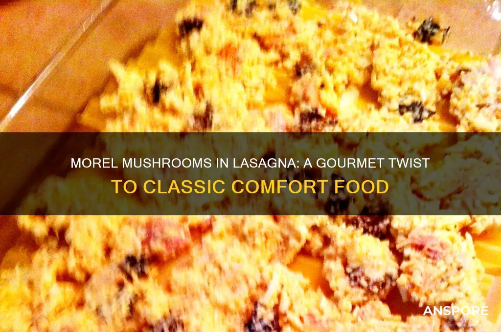 can i put morel mushrooms in lasagna