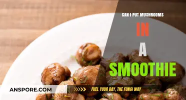 Mushrooms in Smoothies: Benefits, Tips, and Delicious Recipe Ideas