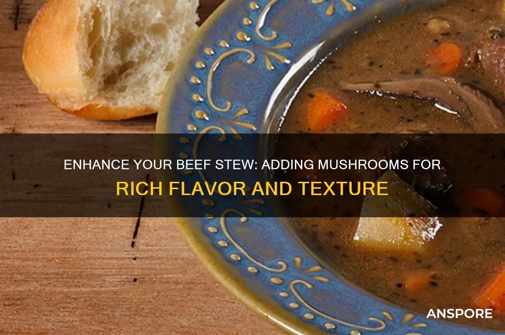 can i put mushrooms in beef stew