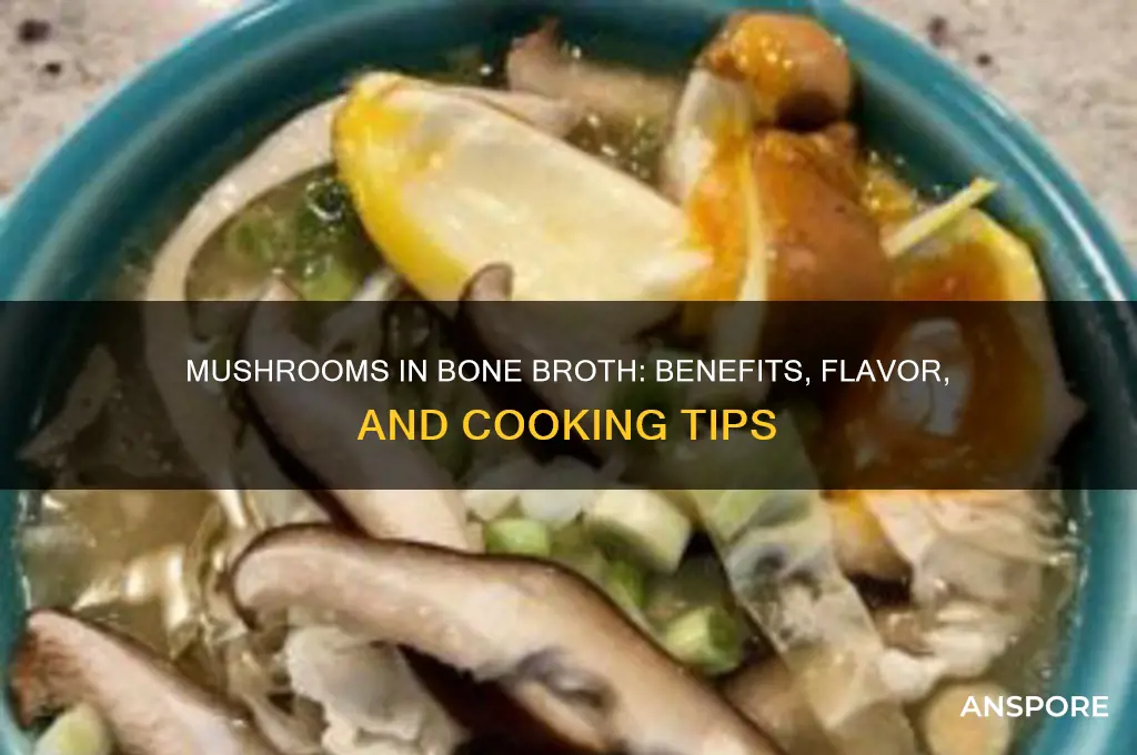 can i put mushrooms in bone broth