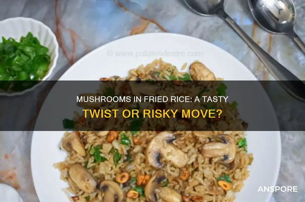 can i put mushrooms in fried rice