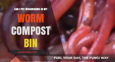Mushrooms in Worm Compost: Benefits, Risks, and Best Practices
